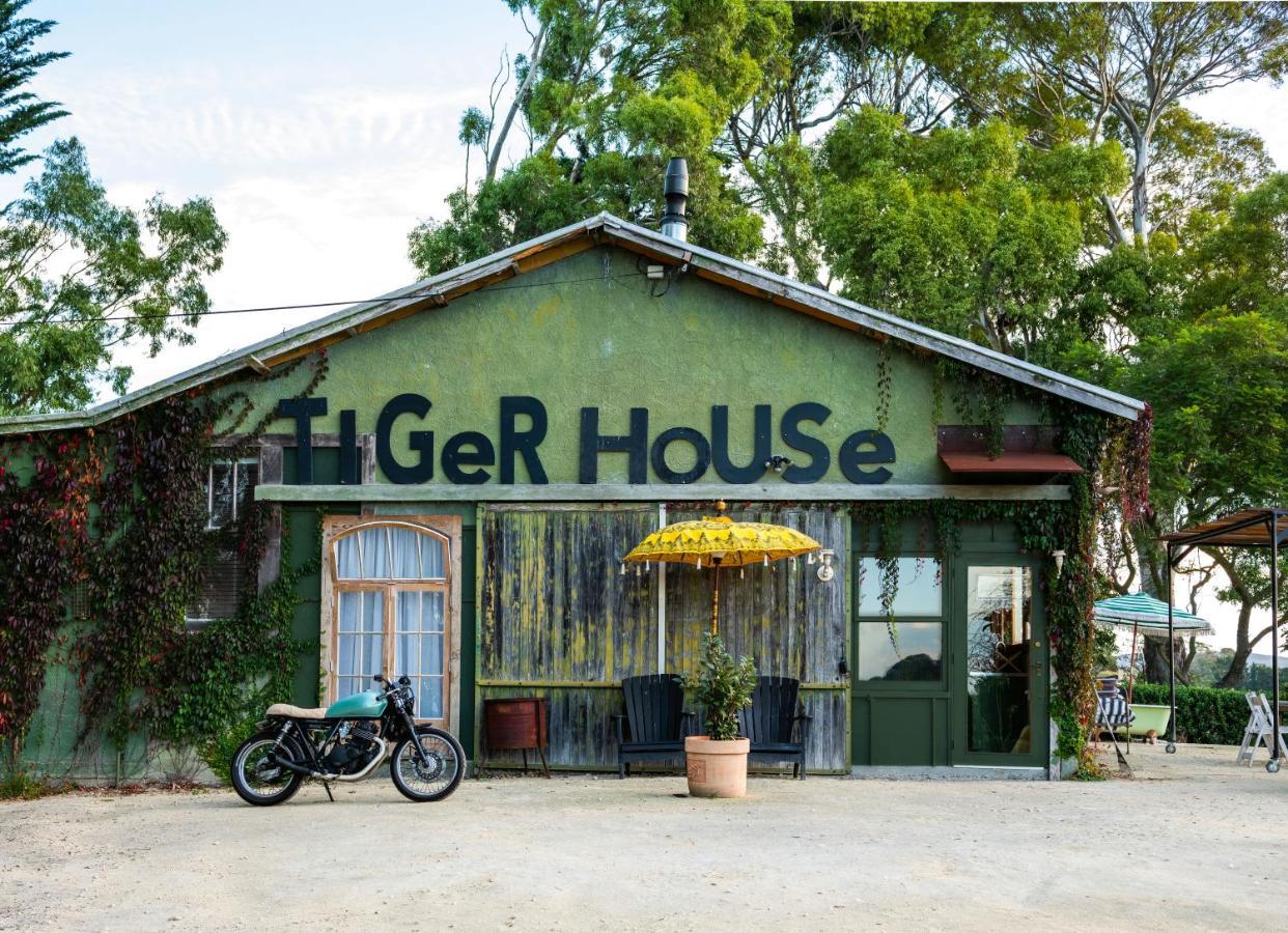 Tiger House Leilighet Havelock North Eksteriør bilde