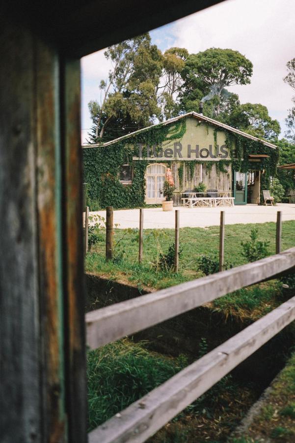 Tiger House Leilighet Havelock North Eksteriør bilde