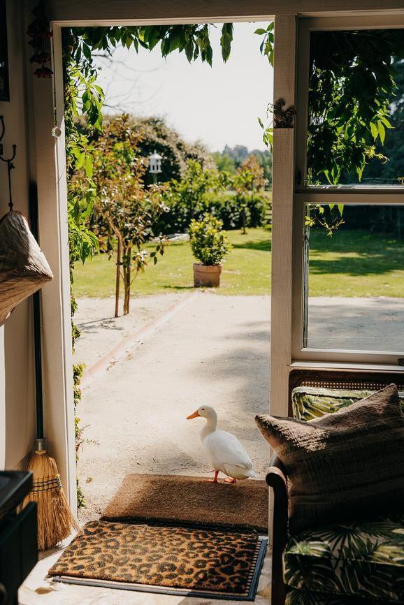 Tiger House Leilighet Havelock North Eksteriør bilde